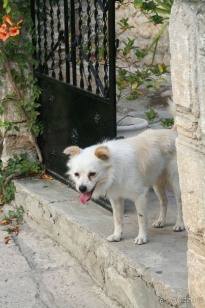 Поселок Афитос