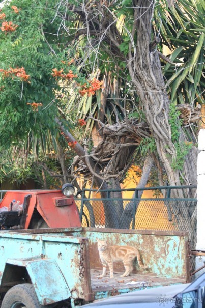 Поселок Афитос