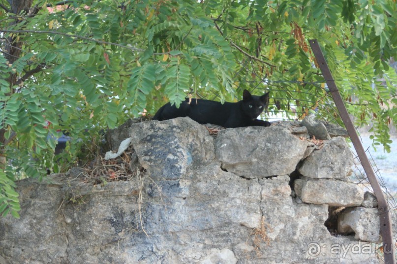 Поселок Афитос