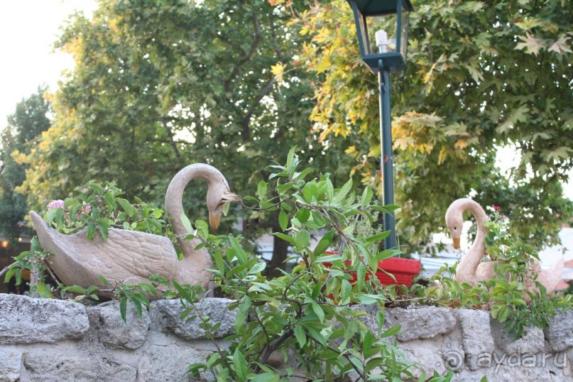 Поселок Афитос