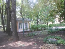 Домик Толстого и прекрасный сад