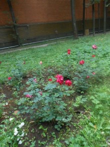 Домик Толстого и прекрасный сад