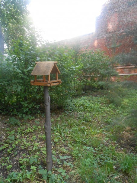 Домик Толстого и прекрасный сад