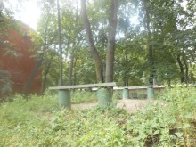 Домик Толстого и прекрасный сад