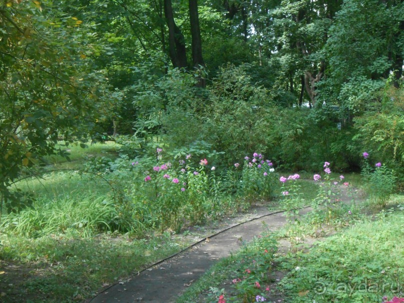 Домик Толстого и прекрасный сад