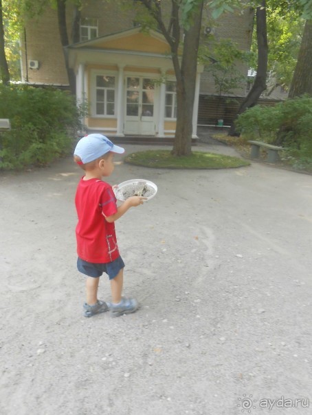 Домик Толстого и прекрасный сад