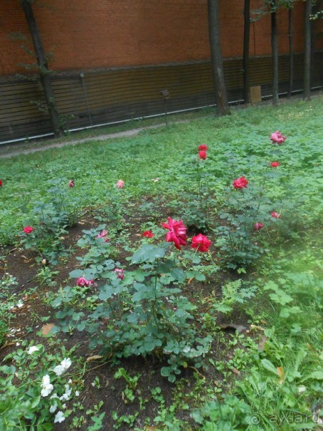 Домик Толстого и прекрасный сад