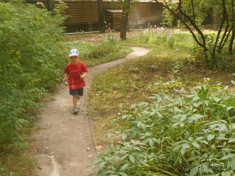 Домик Толстого и прекрасный сад