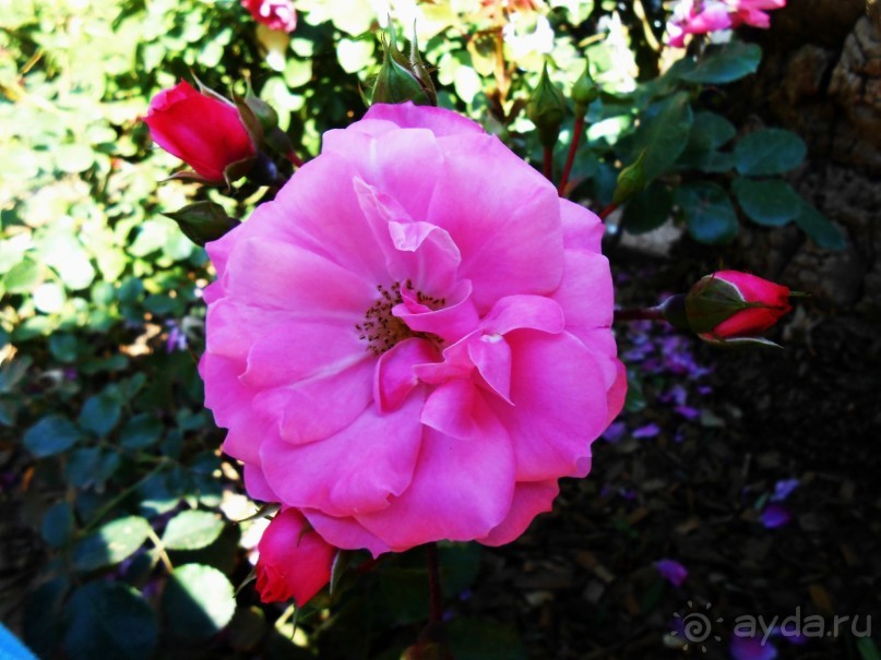 Ллорет де мар