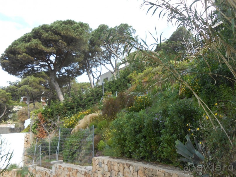 Ллорет де мар