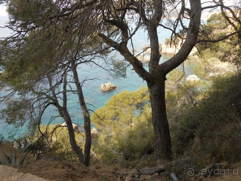 Ллорет де мар