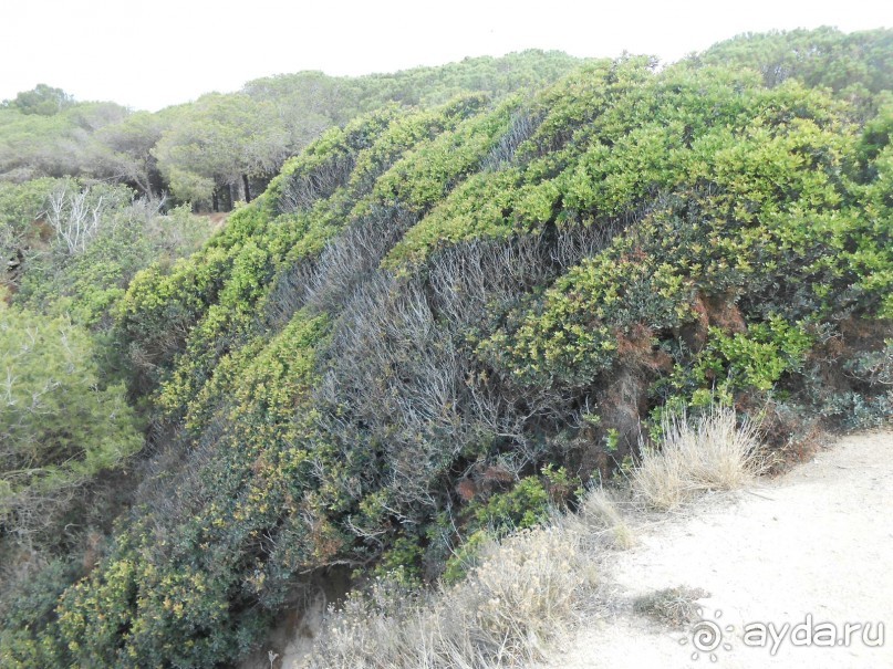 Ллорет де мар