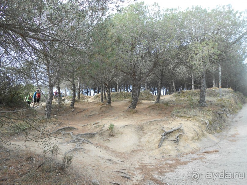 Ллорет де мар