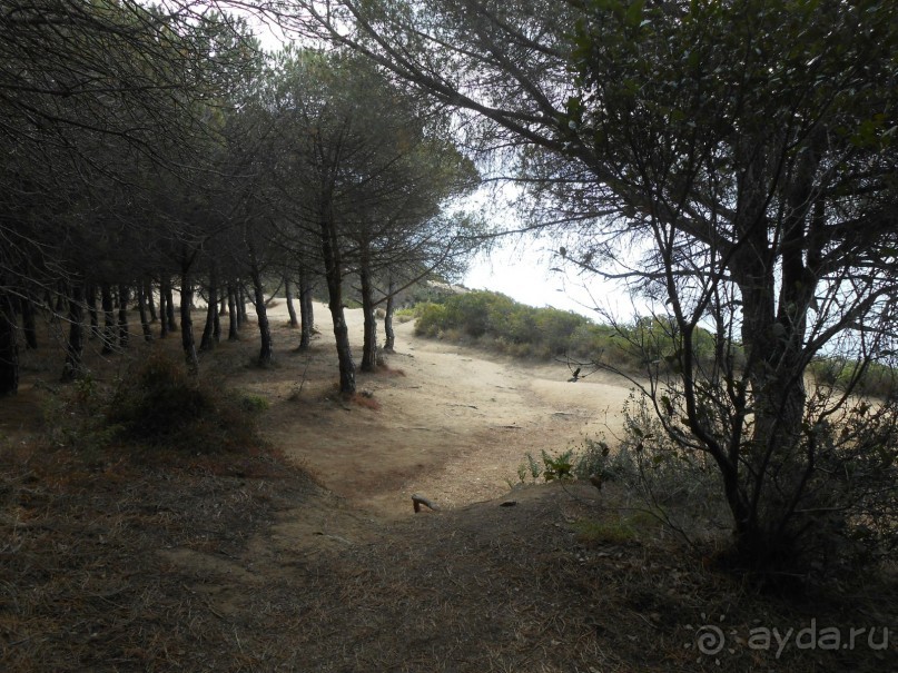 Ллорет де мар