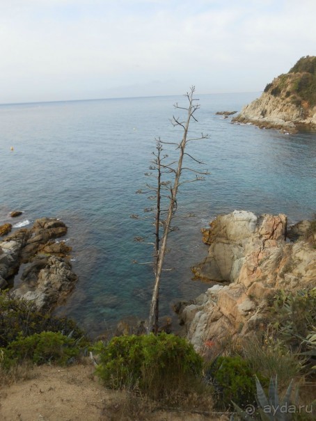 Ллорет де мар