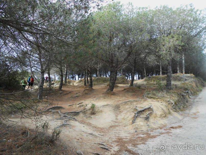 Ллорет де мар