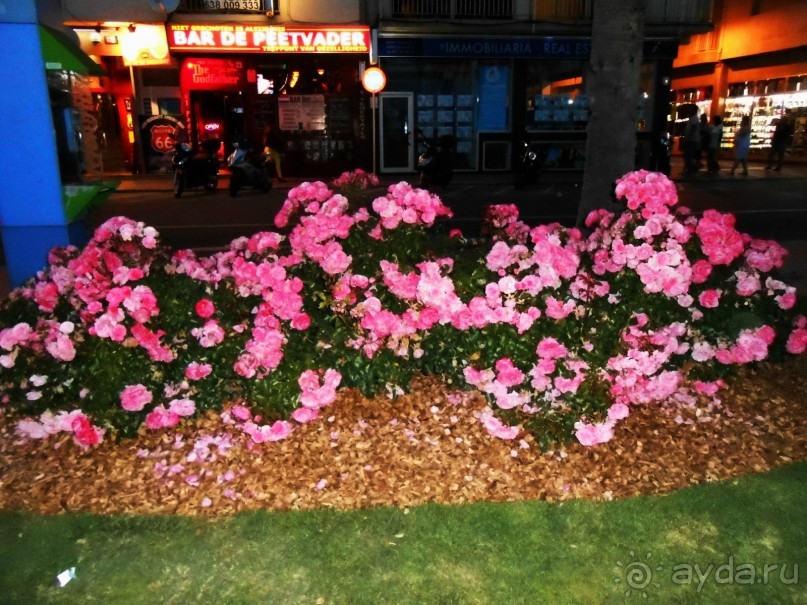 Ллорет де мар