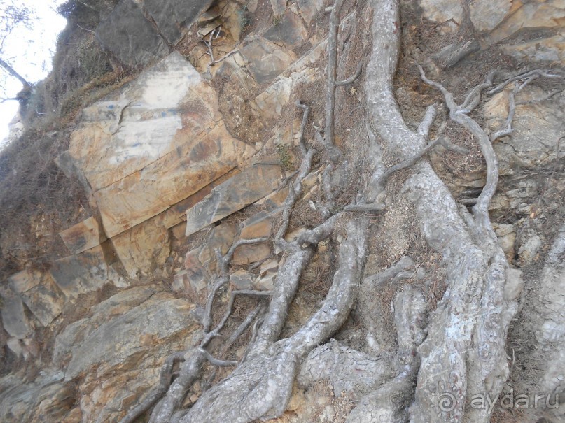 Ллорет де мар