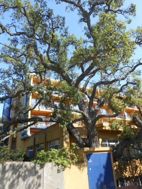 Ллорет де мар