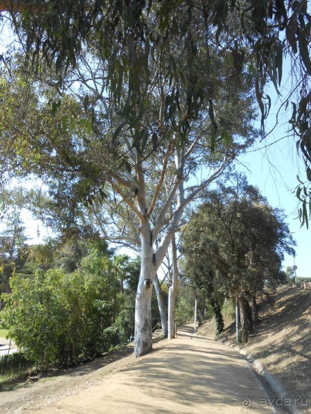 Ллорет де мар