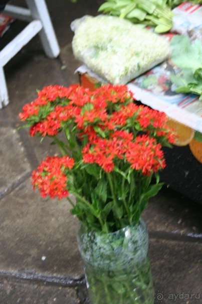 особенное место