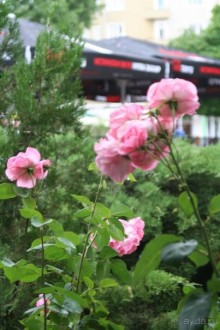 особенное место