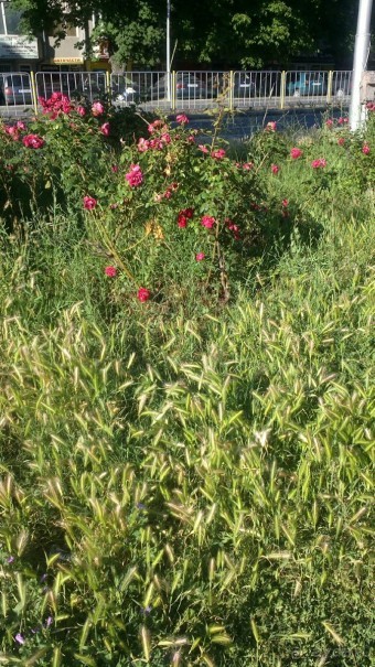 особенное место