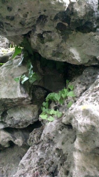 особенное место