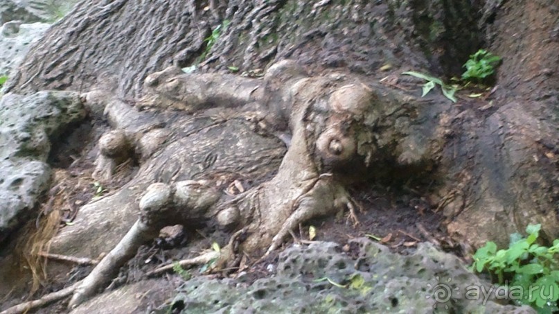 особенное место