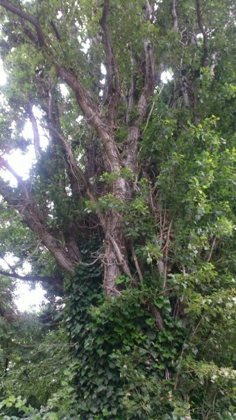 особенное место