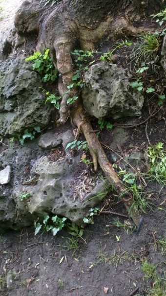 особенное место