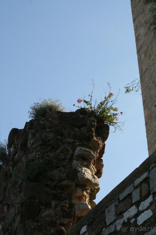 По Европе. Часть 4. Канны