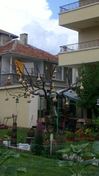 Святой Влас, Болгария
