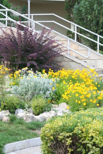 Святой Влас, Болгария