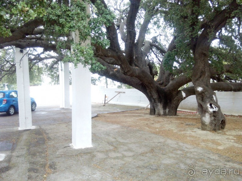 Монастырь Богородицы Цамбики