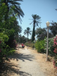 Каменные сказы родосской крепости