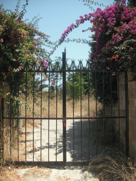 Каменные сказы родосской крепости