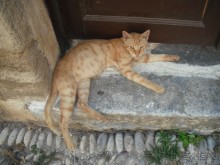 Каменные сказы родосской крепости