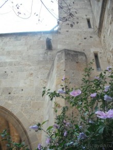 Каменные сказы родосской крепости