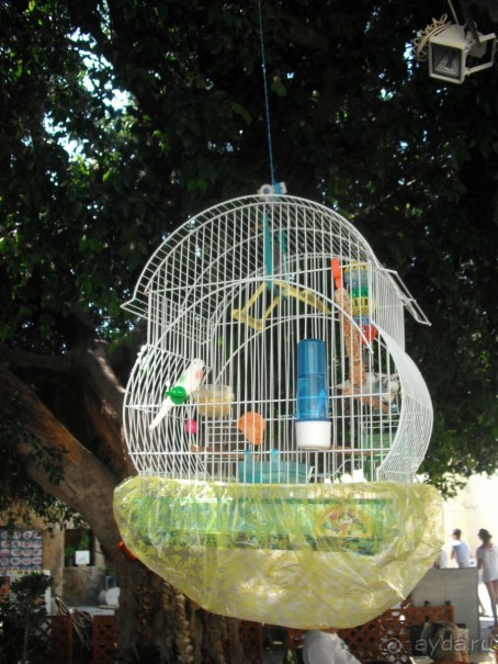 Каменные сказы родосской крепости