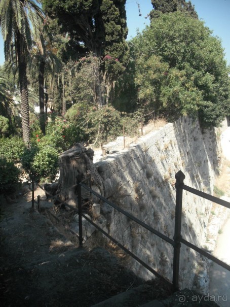 Каменные сказы родосской крепости