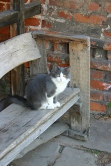 Подворье на крутицах