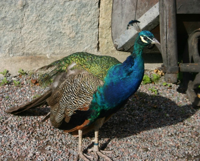 Швеция в миниатюре