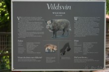 Швеция в миниатюре