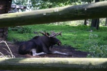 Швеция в миниатюре