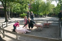 Швеция в миниатюре