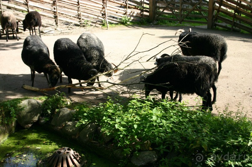 Швеция в миниатюре