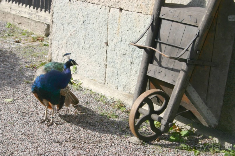 Швеция в миниатюре