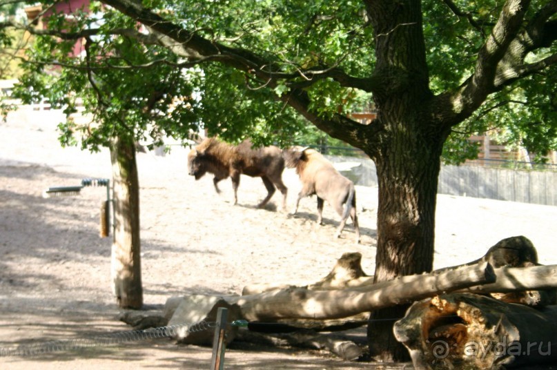 Швеция в миниатюре