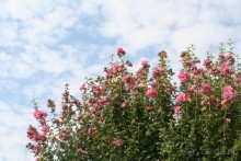 Поселок Ахарави на острове Корфу